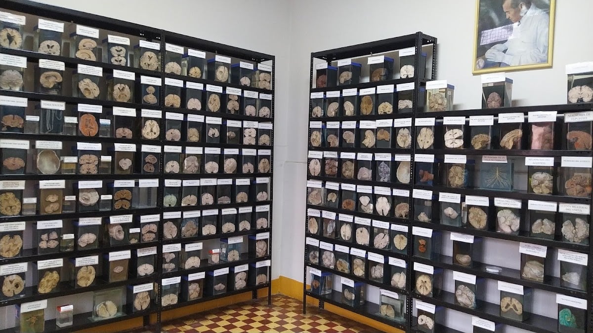 Museo del Cerebro