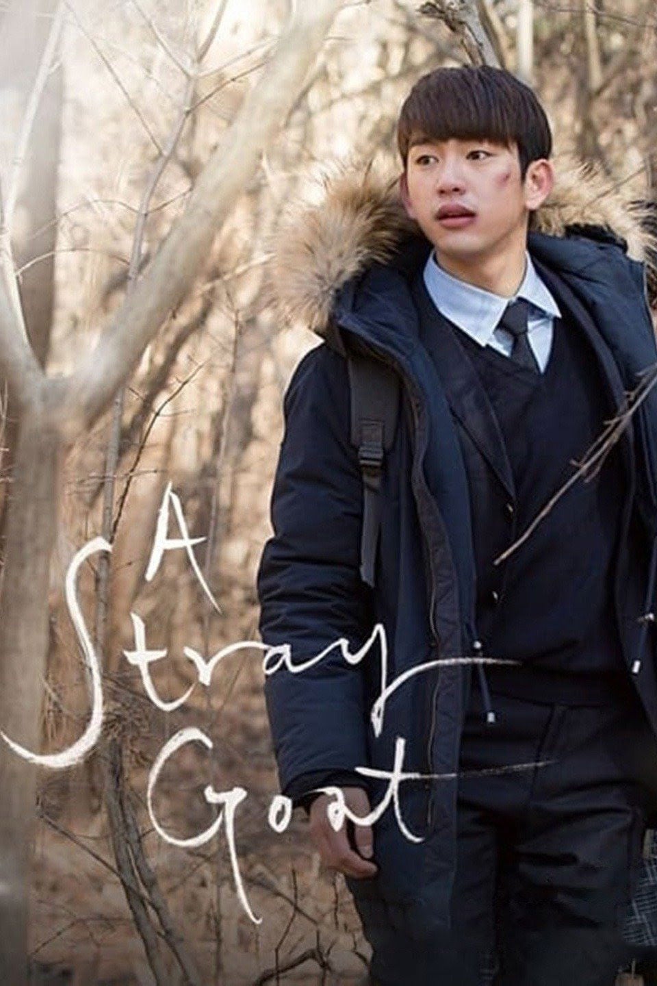 A Stray Goat - Cho Jae-min · 2017