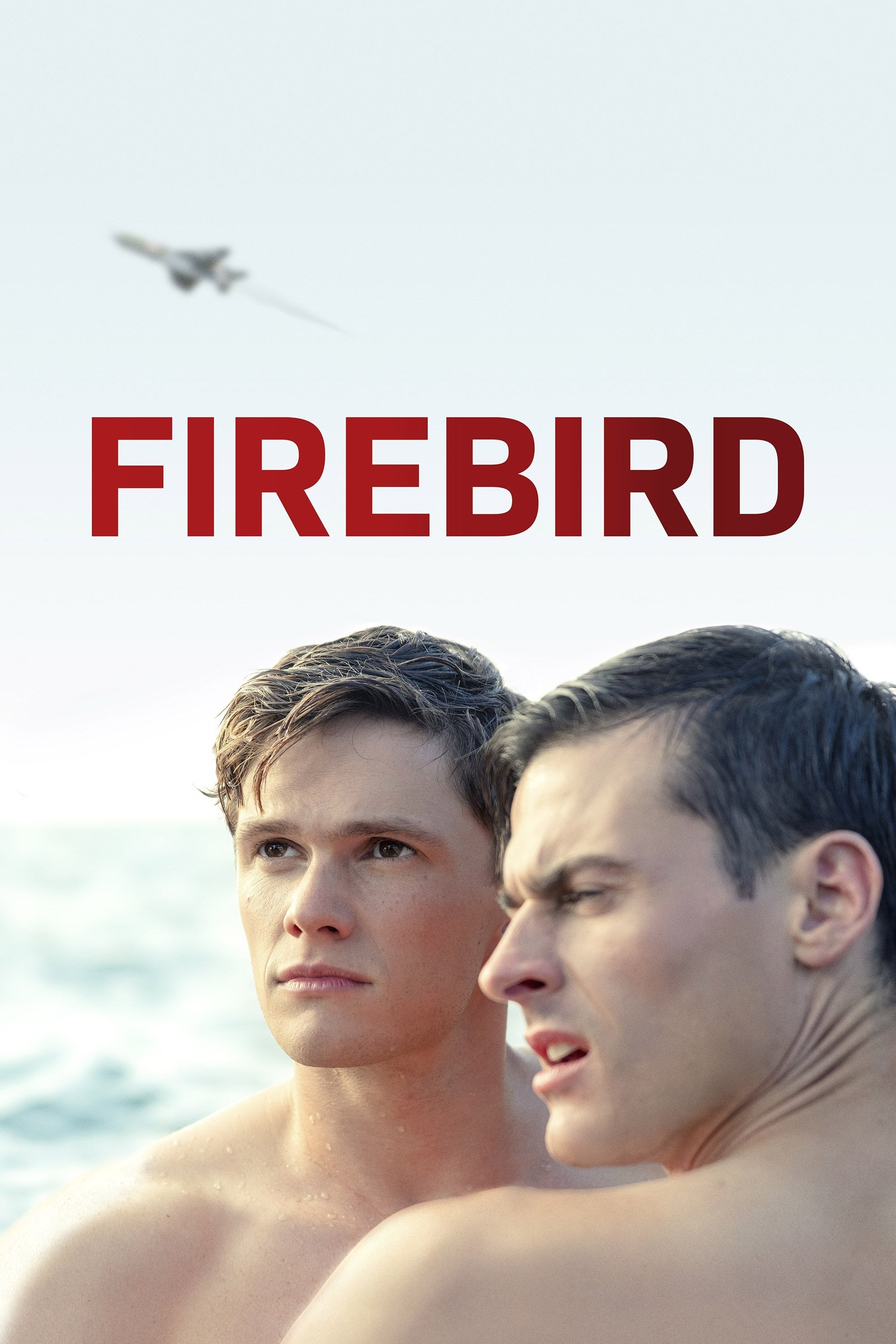 Firebird - Peeter Rebane · 2021