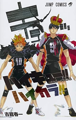 HAIKYU!! COLOR ILLUSTRATIONS - HARUICHI FURUDATE • 2018