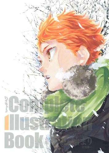 HAIKYU !! COMPLETE ILLUSTRATION BOOK - FURUDATE HARUICHI • 2022