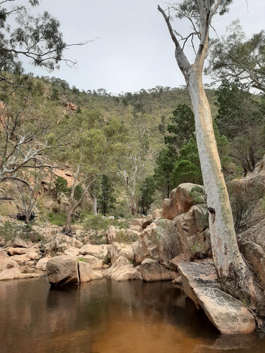 Montes Flinders