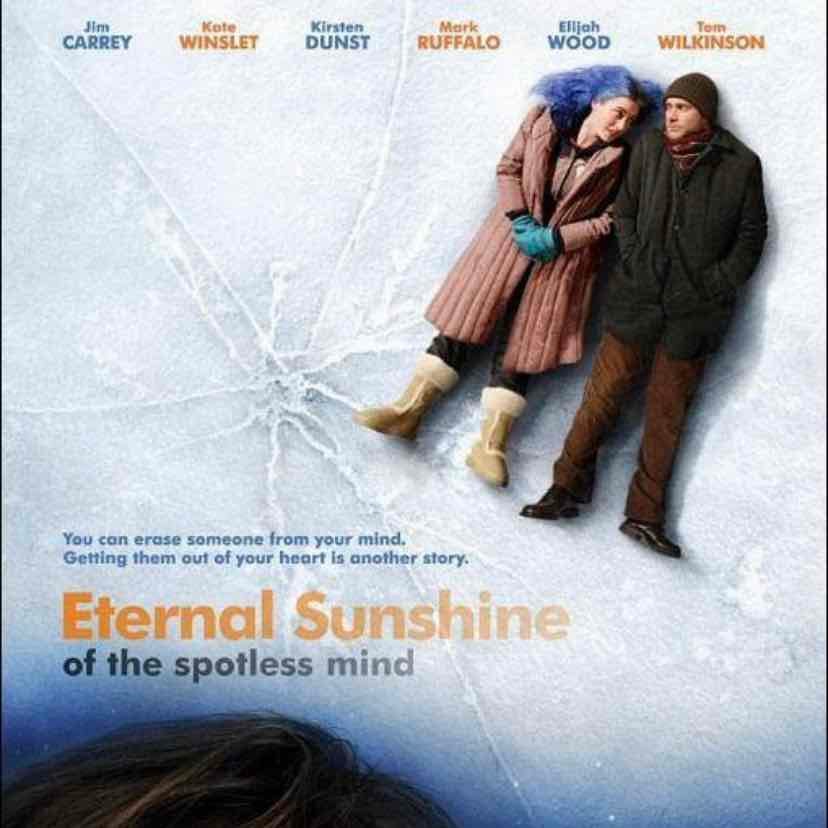 Eternal Sunshine of the Spotless Mind