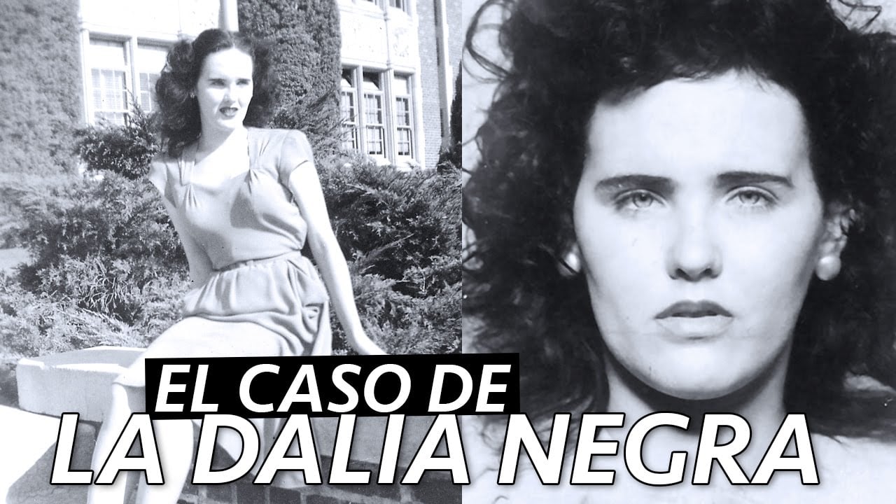 TODO sobre el MISTERIOSO caso de LA DALIA NEGRA | Paulettee - YouTube