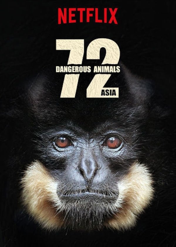 72 animales peligrosos: Asia - 12 episodios • 2018
