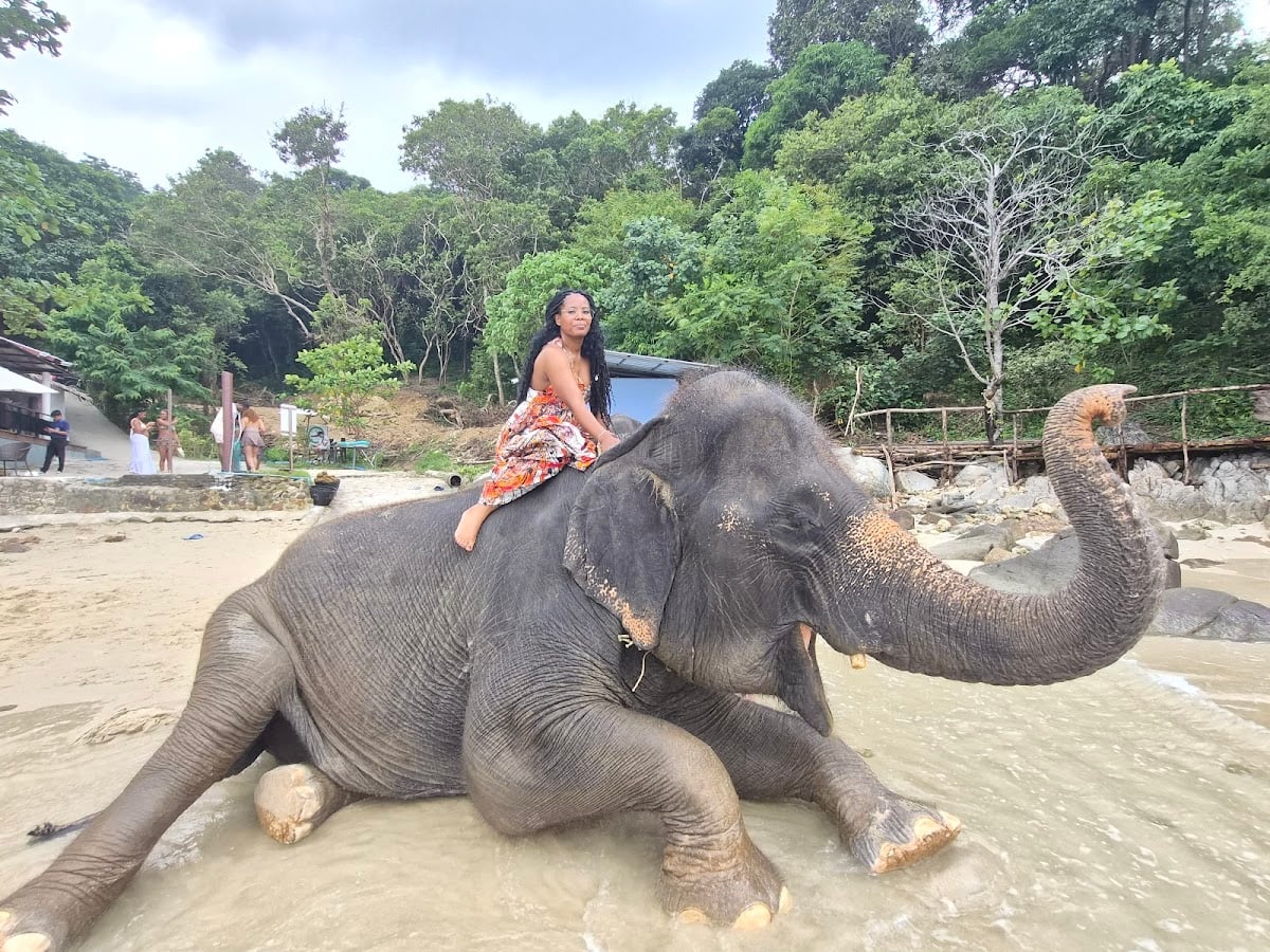 Phuket Elephant On The Beach (private entry to te Beach)