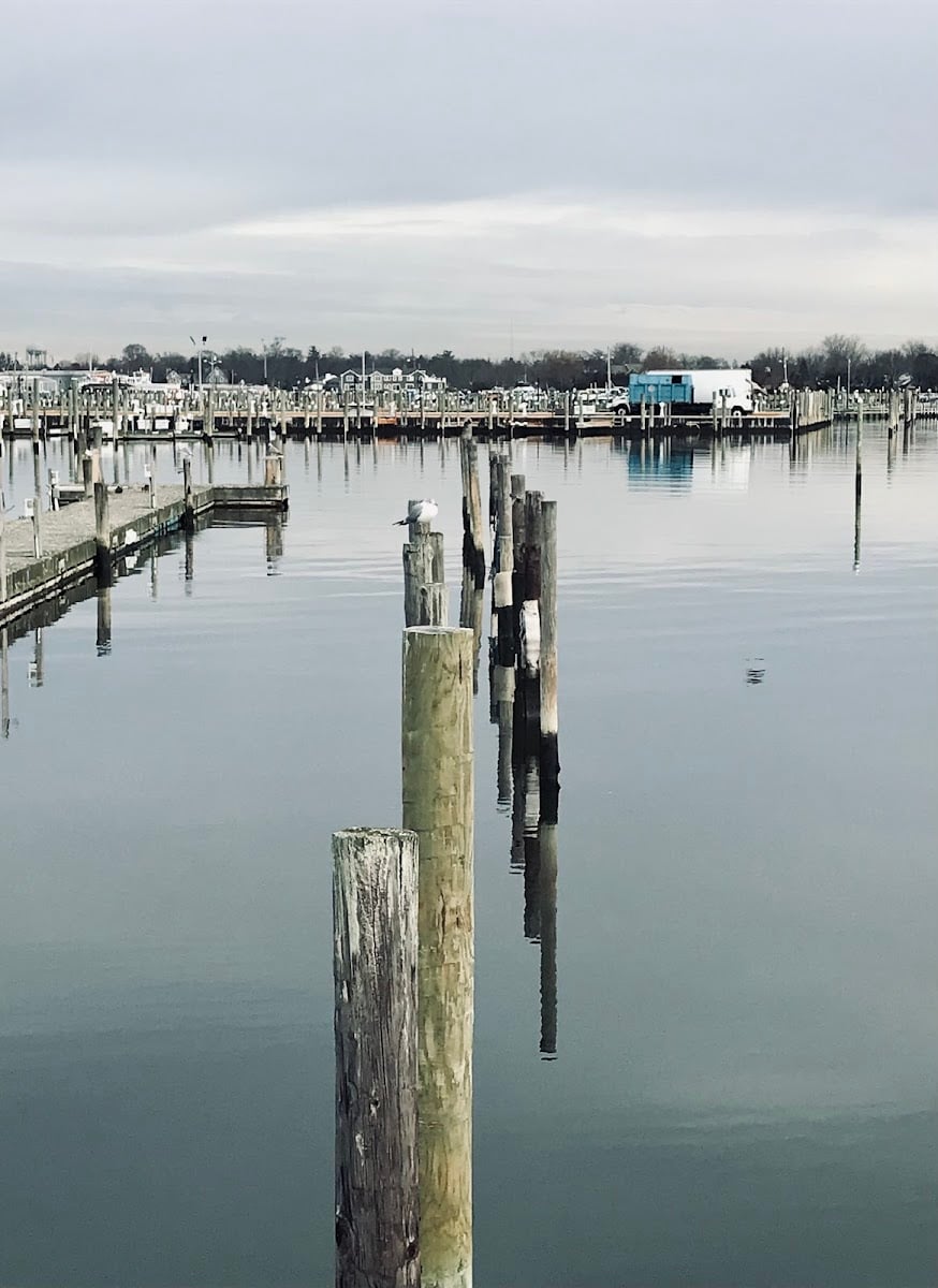 Bay Shore