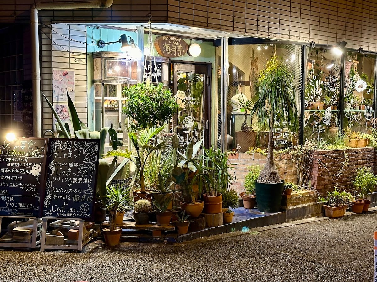 くらげ亭 植物(じゃま)酒場