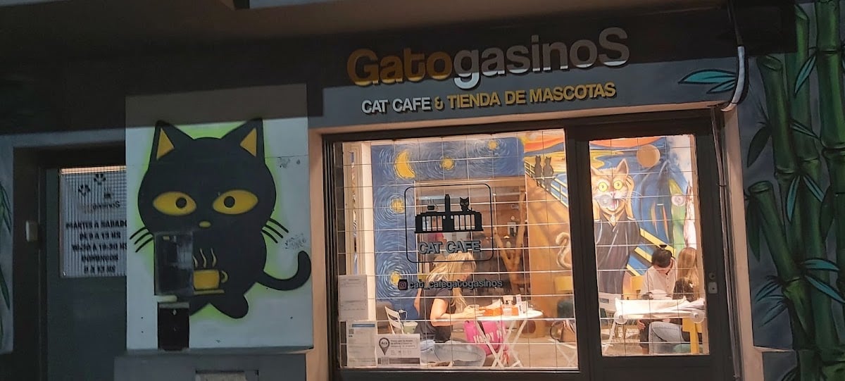 Gatogasinos Cat Café