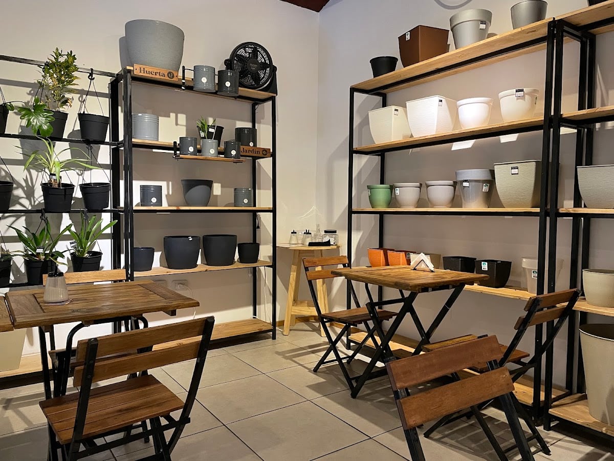 Palmira Café