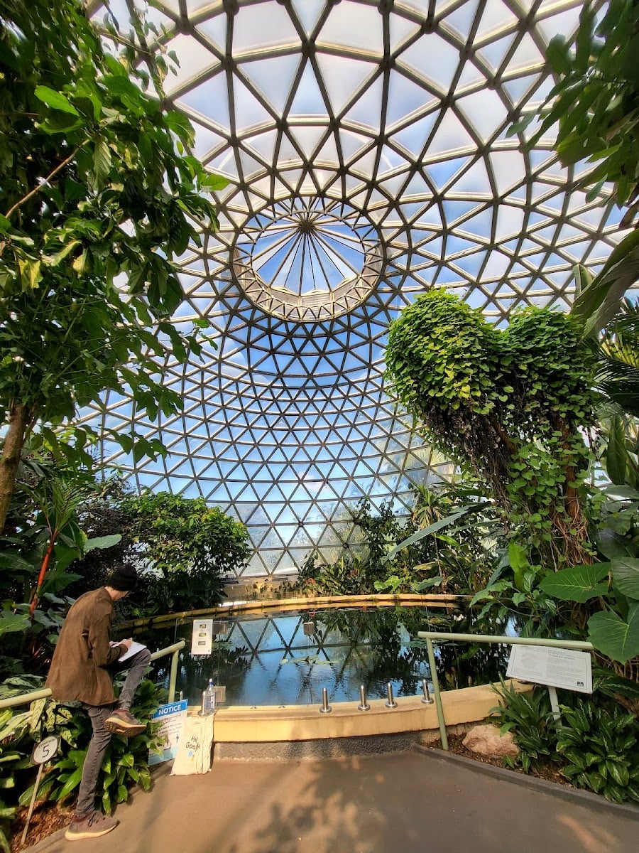 Mt. Cootha botanical garden