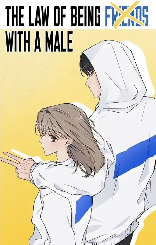 The laws of being friends with a male