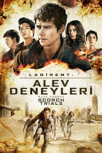 Labirent: Alev Deneyleri - Wes Ball · 2015