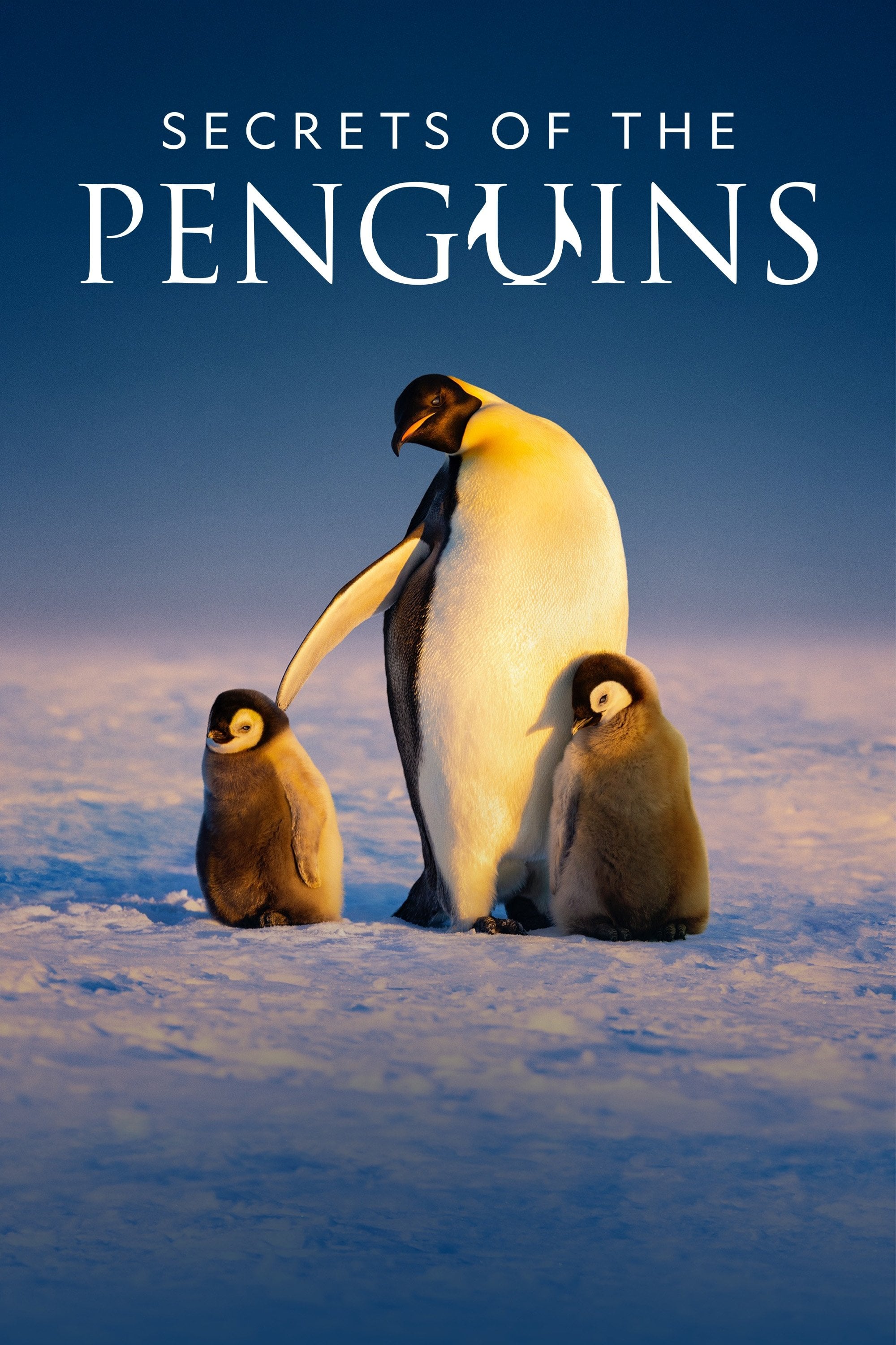 Secrets of the Penguins - 2025