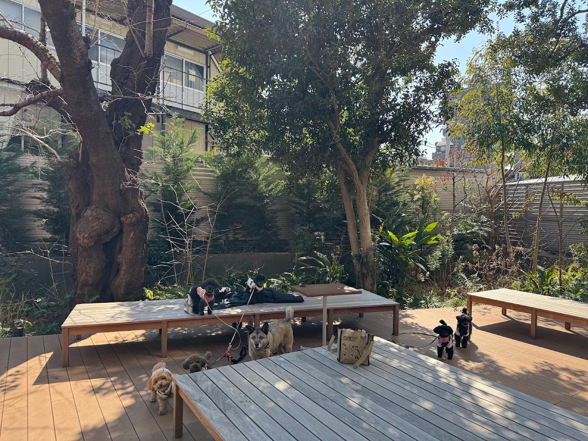 goodcoffee学芸大学 by goodroom - 学芸大学