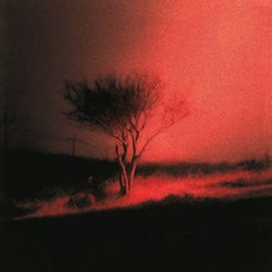 Piss In The Wind - Album · Joji