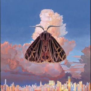 Moth - Album · Chairlift