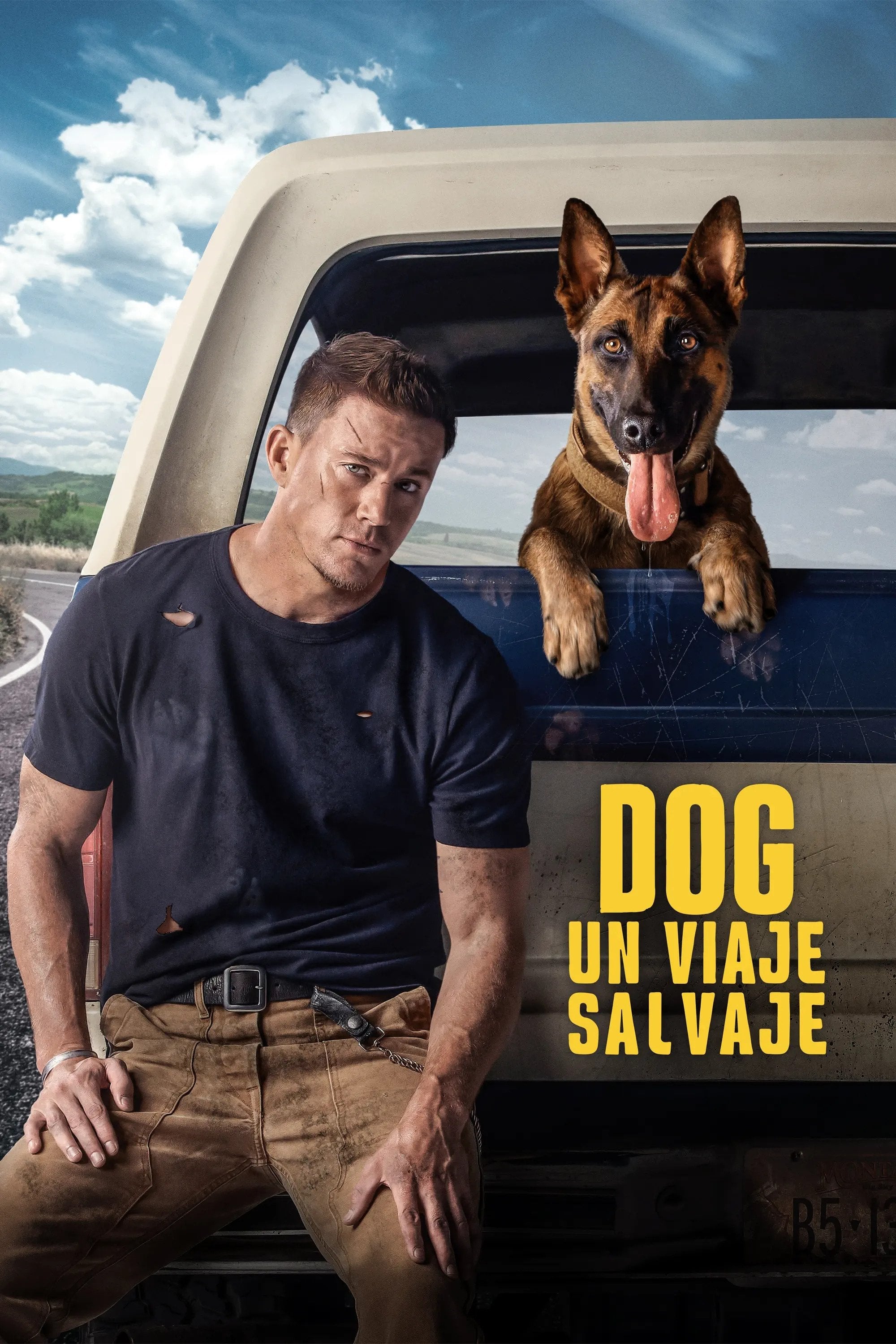 Dog - Un viaje salvaje - Reid Carolin · 2022