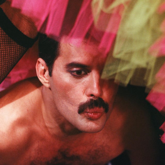 Freddie Mercury - Artist