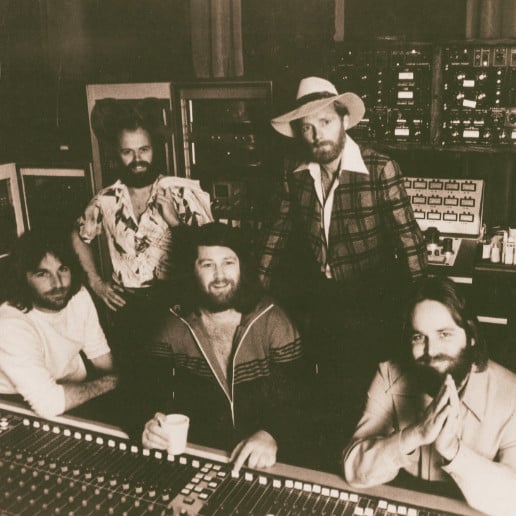 The Beach Boys - Artist