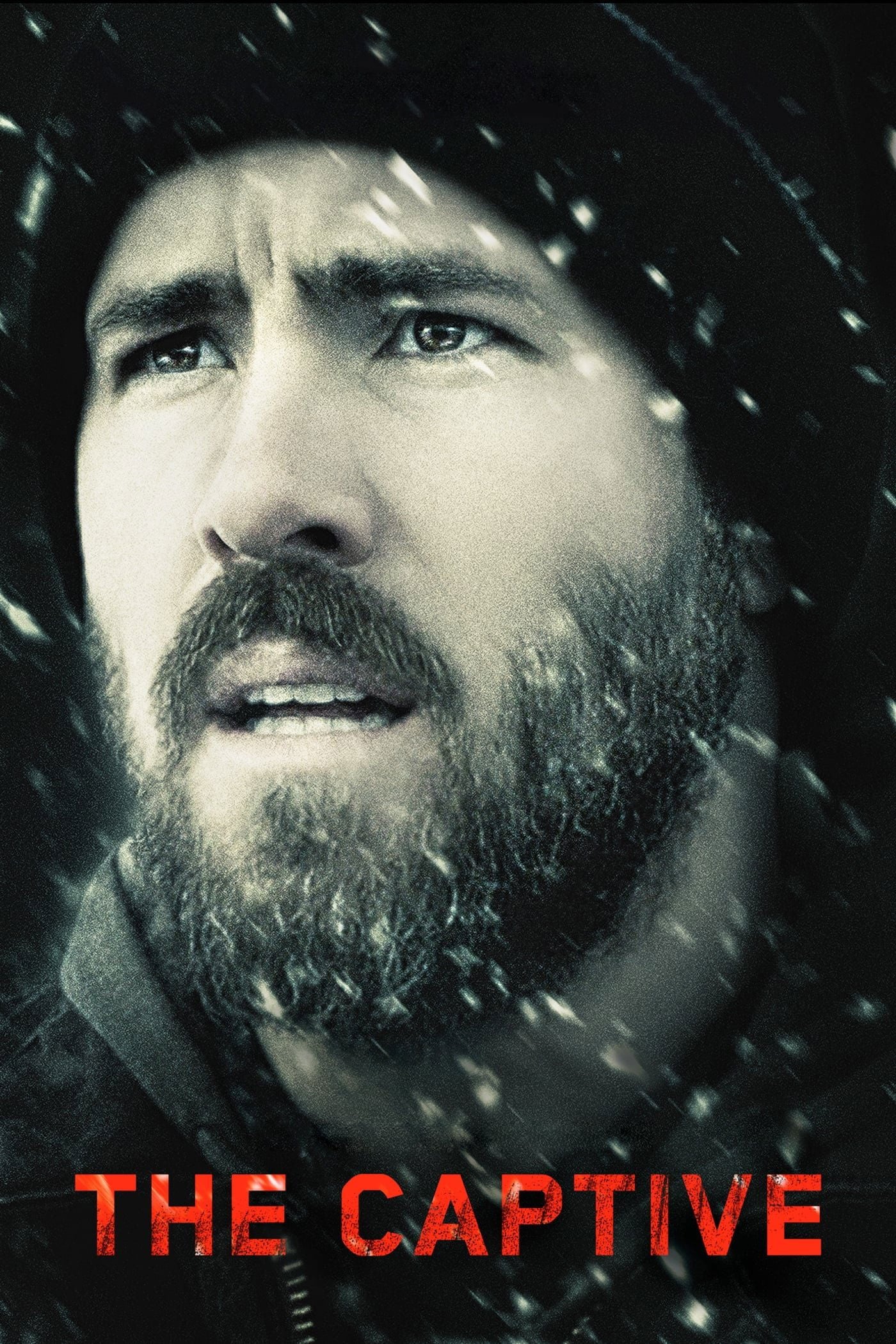 The Captive - Atom Egoyan · 2014