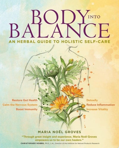 Body into Balance - Maria Noel Groves • 2016
