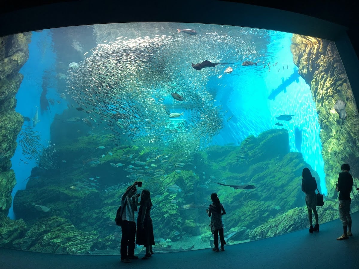 Sendai Umino-Mori Aquarium
