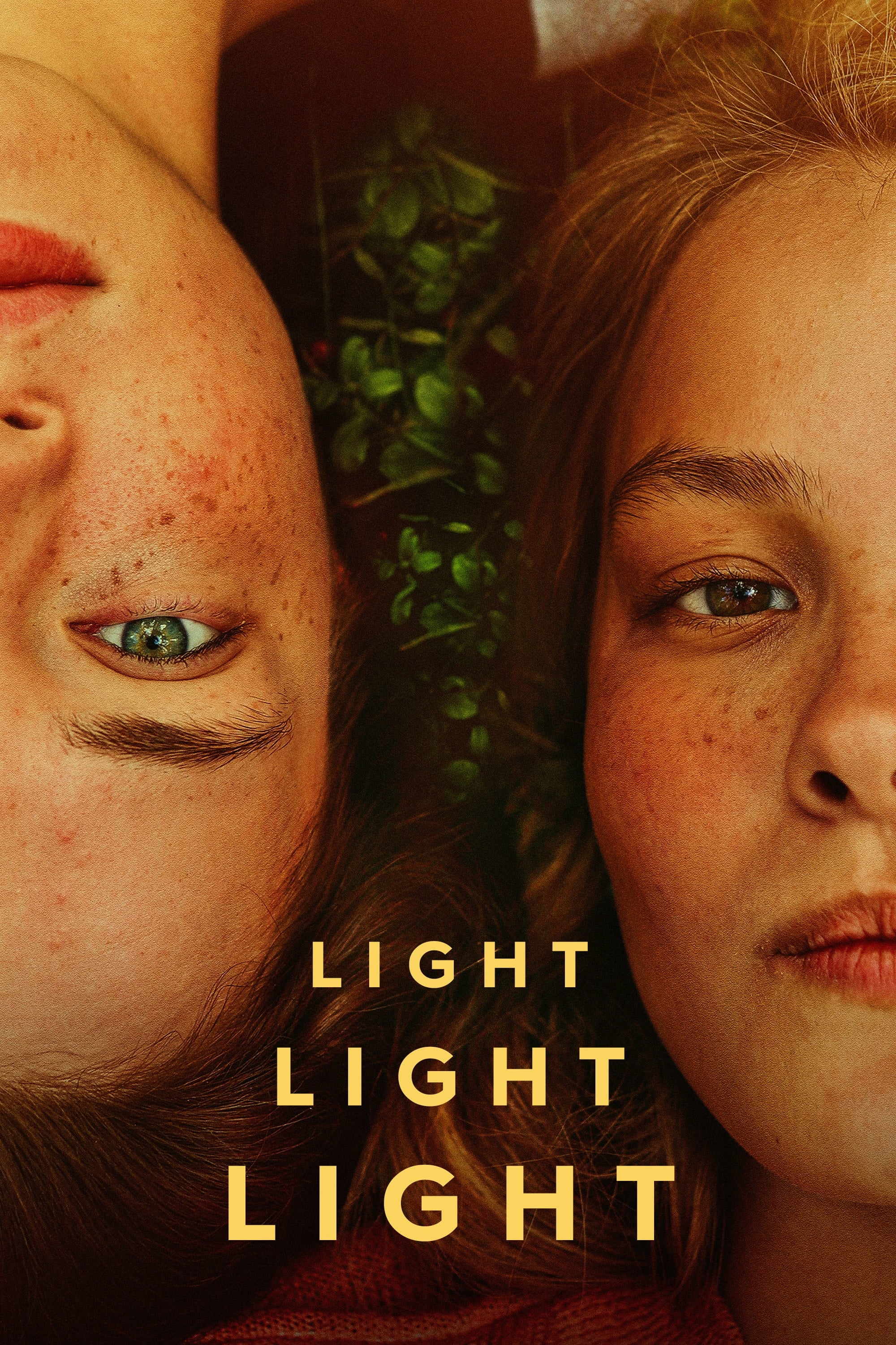 Light Light Light - Inari Niemi · 2023