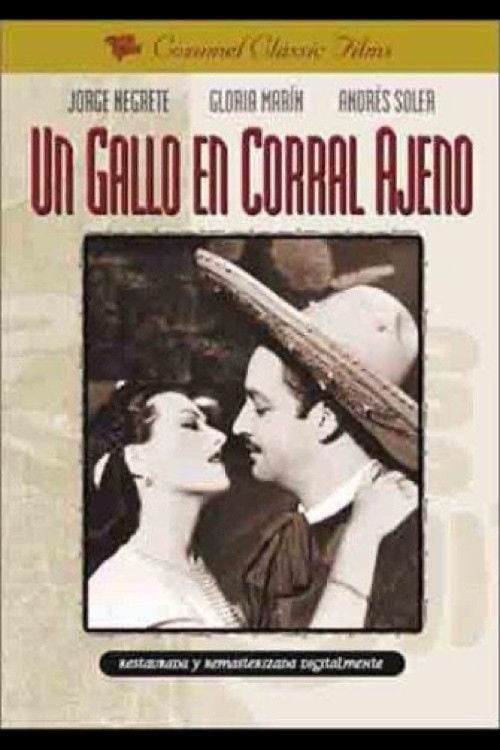 Un gallo en corral ajeno - 1952
