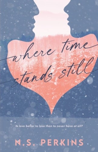 Where Time Stands Still - N. S. Perkins · 2022