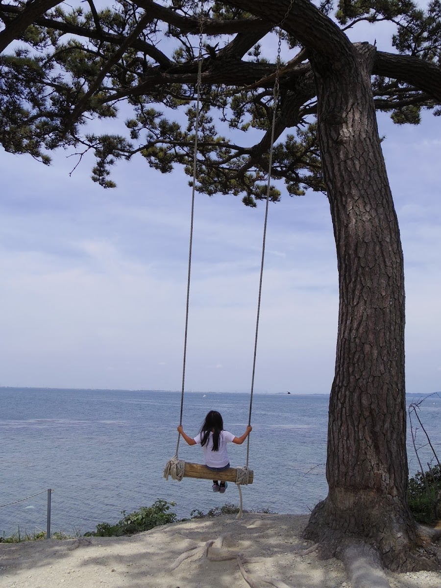 日間賀島