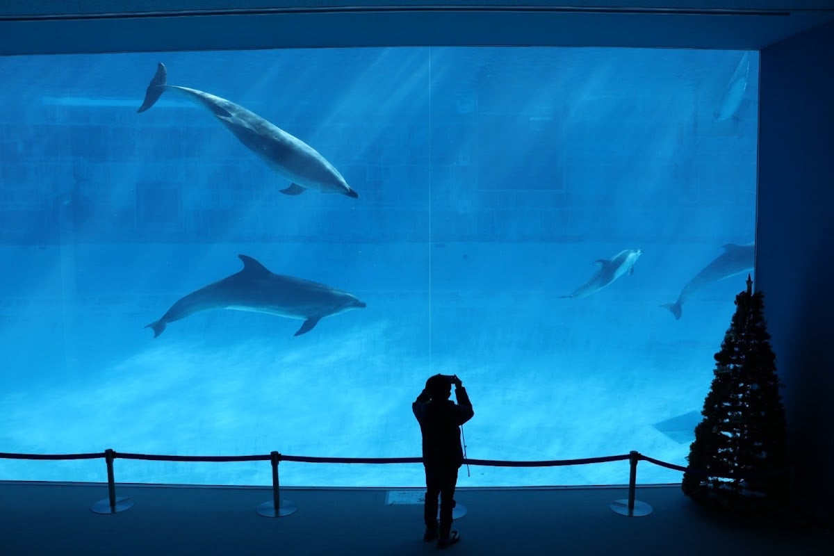 名古屋港水族館