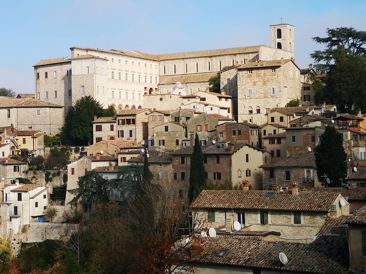 Todi