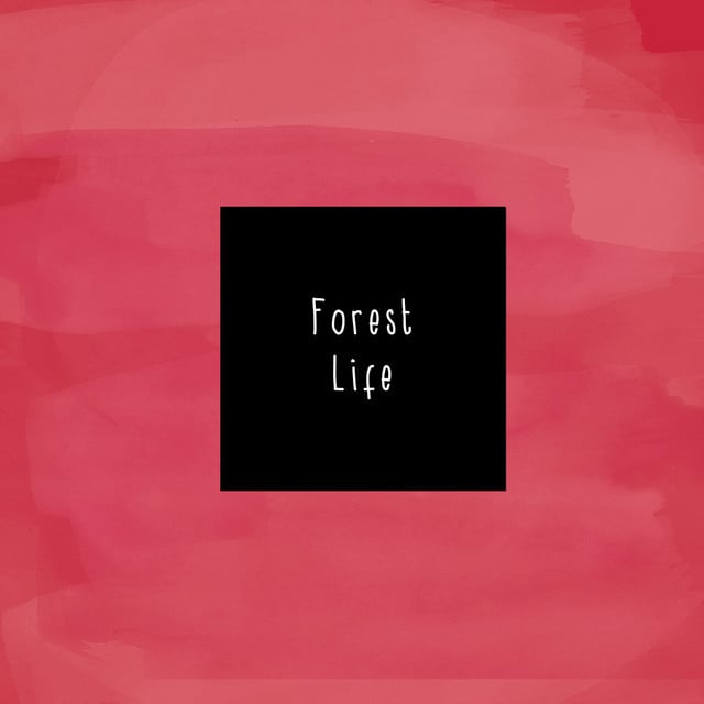 Trees - Song · McCafferty