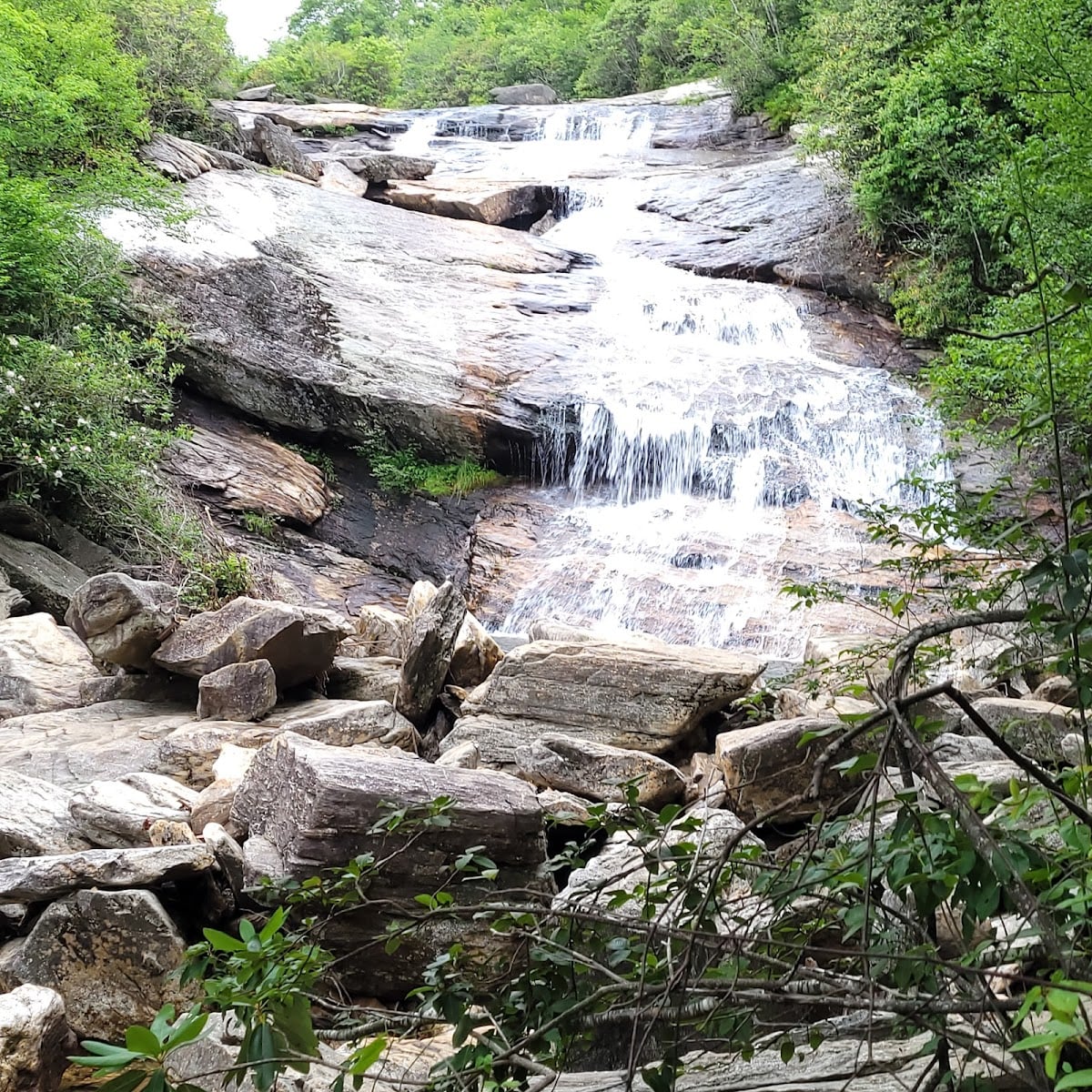 Graveyard Fields Loop Trail
