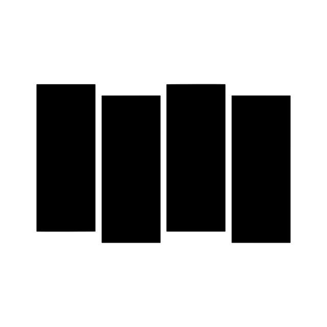 Black Flag - Artist