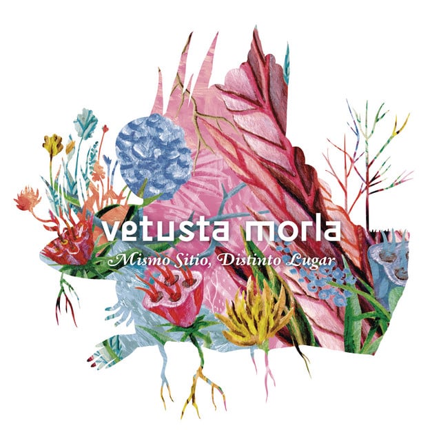 Te lo Digo a Ti - Song · Vetusta Morla