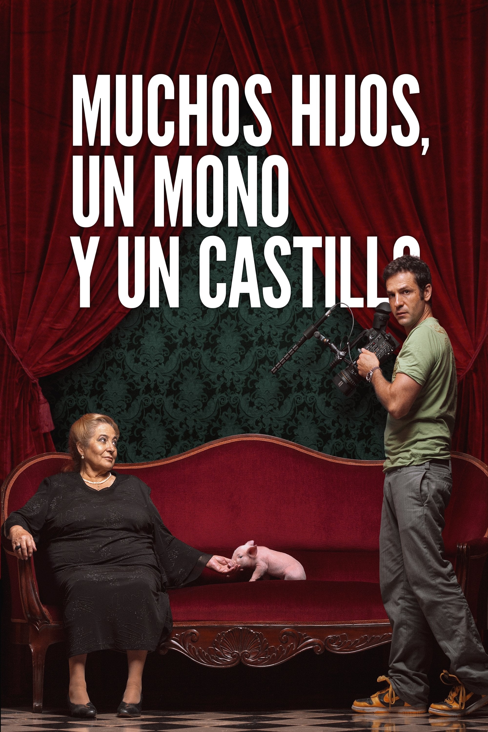 Muchos hijos, un mono y un castillo - Gustavo Salmerón · 2017