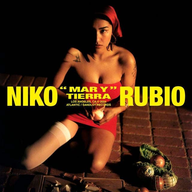 30 Mil Pies - Song · Niko Rubio