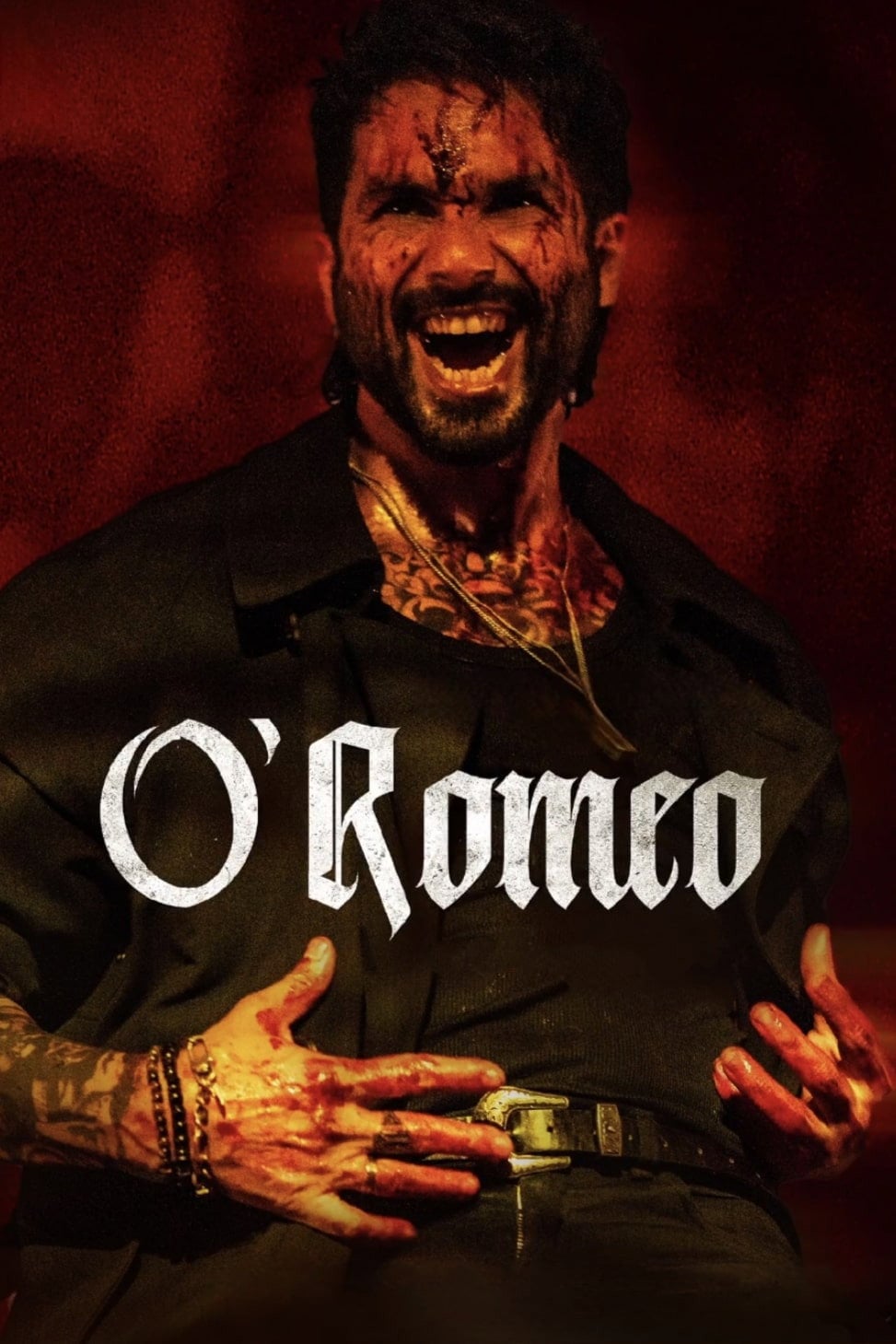 O' Romeo - Vishal Bhardwaj · 2026