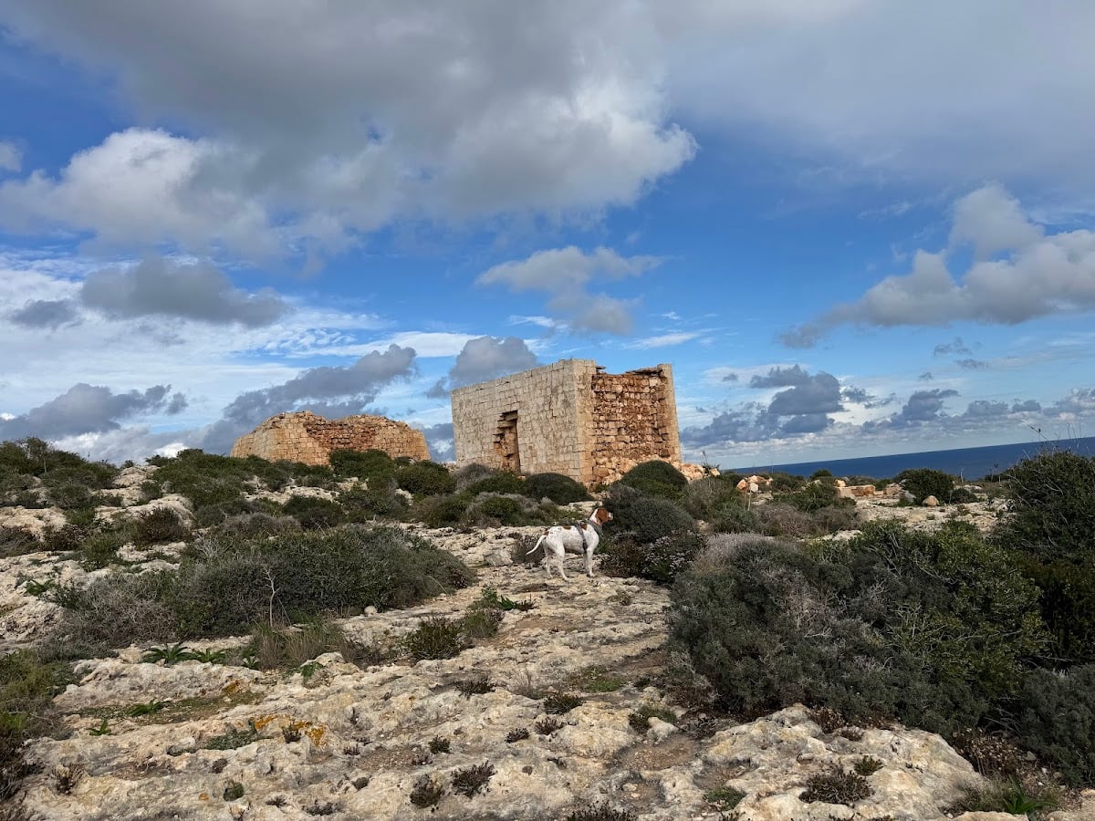 Għajn Ħadid Tower