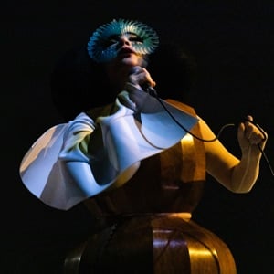 Björk - Artist · Björk