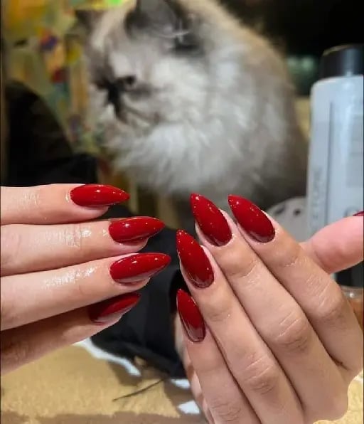 🐞