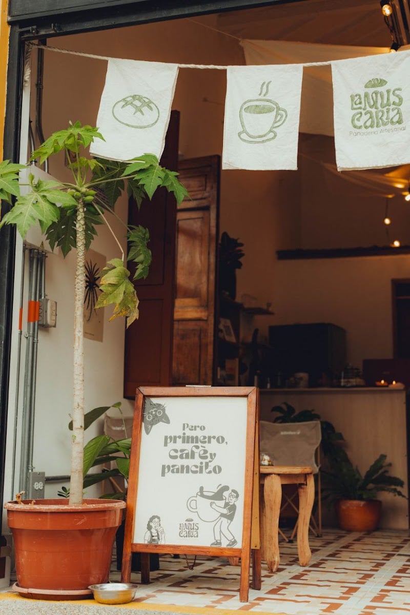 La Muscaria Café - Envigado