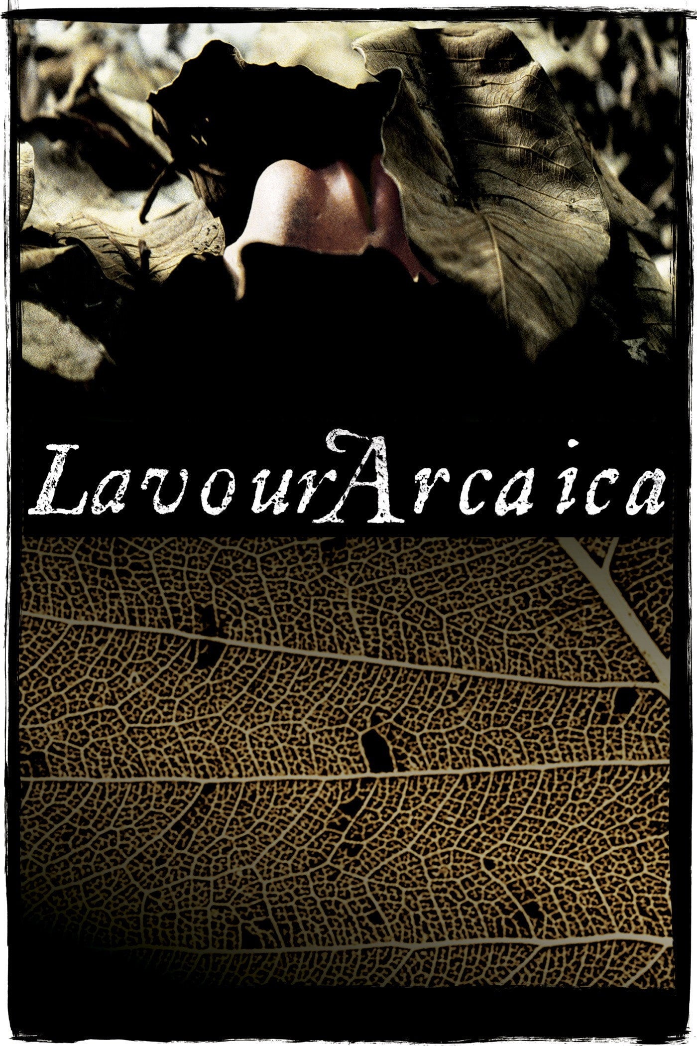 Lavoura Arcaica - Luiz Fernando Carvalho · 2001