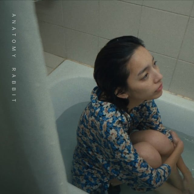 Are You out yet ? - Album · Anatomy Rabbit