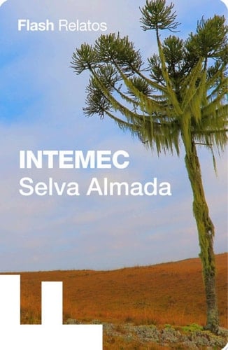 Intemec - Selva Almada · 2019
