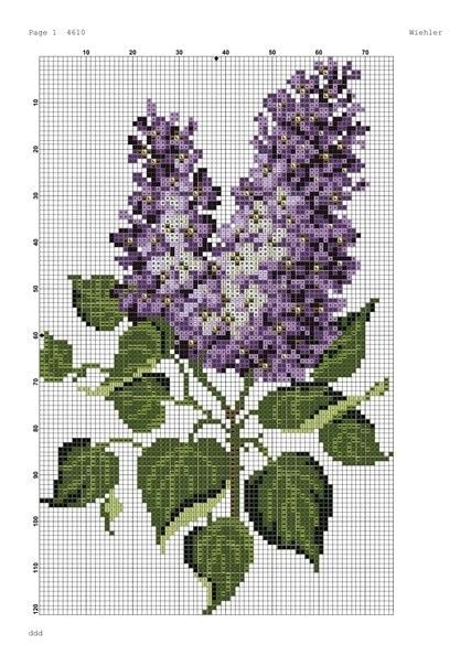 Flor 4