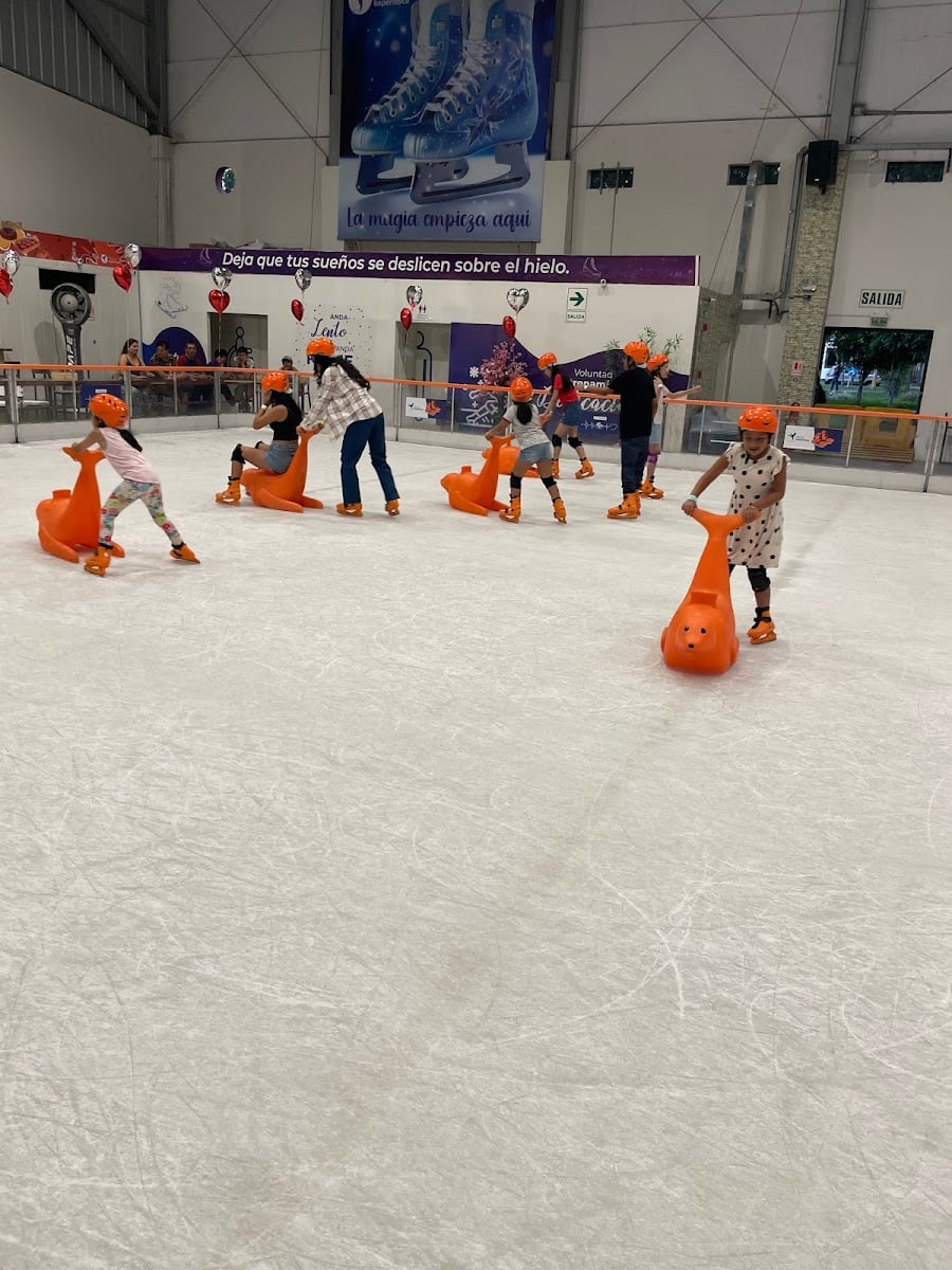 The Ice Experience