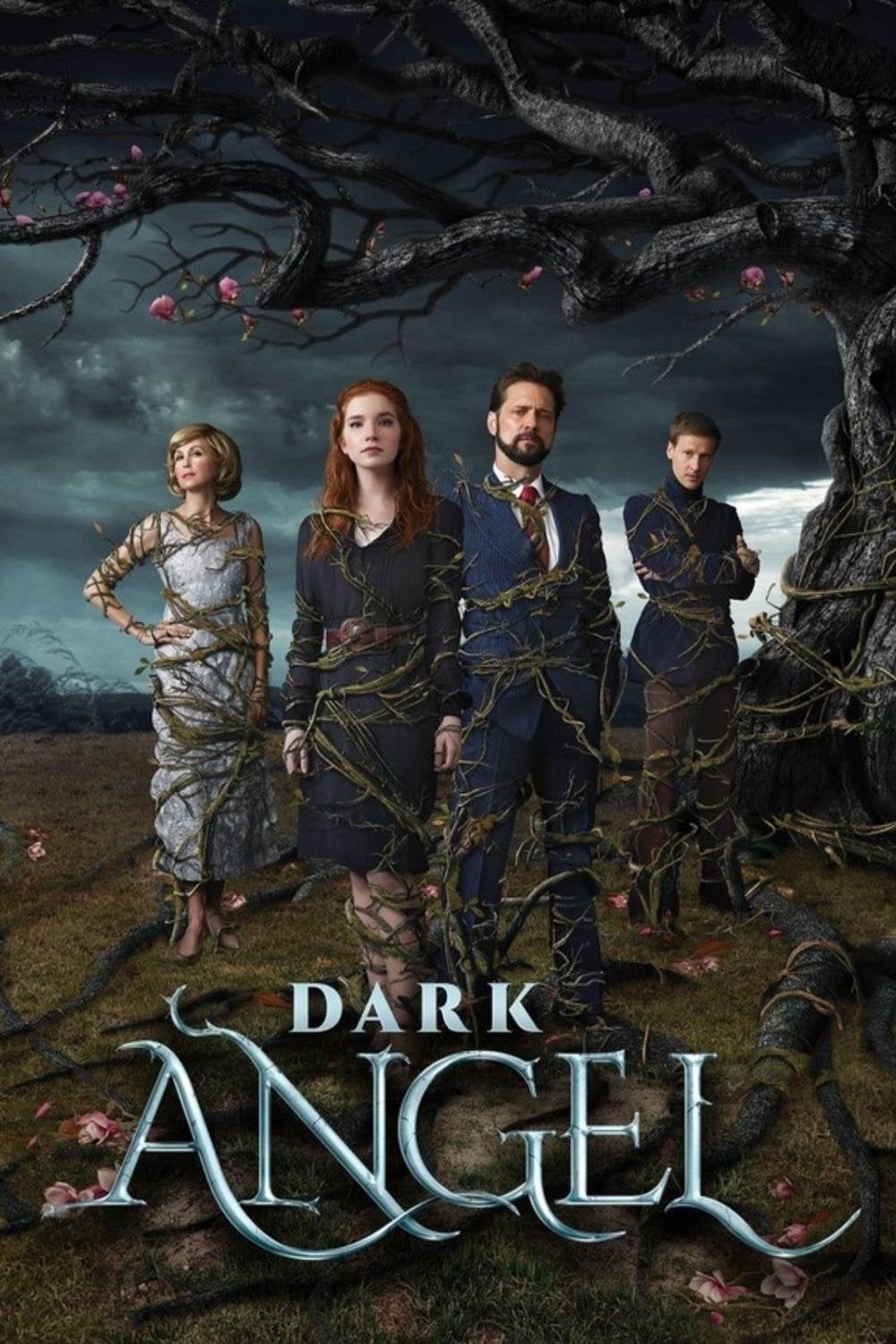 Dark Angel - Paul Shapiro · 2019